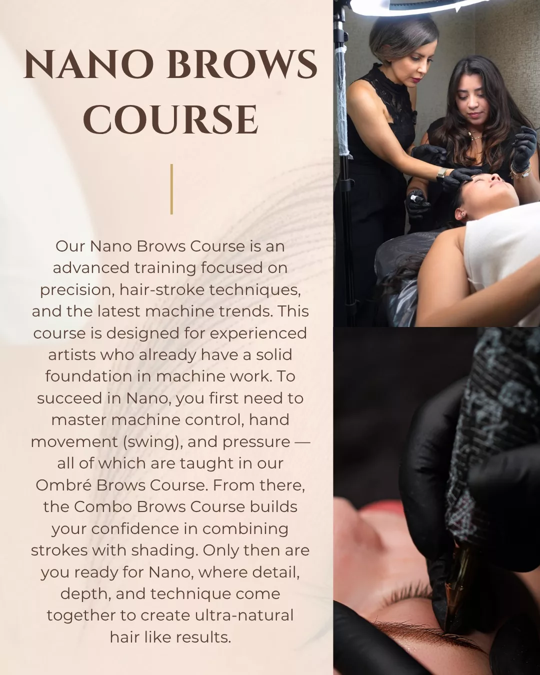 nanobrows training